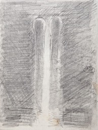 Ruminations on Disaster