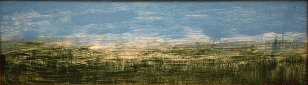 Apalachicola River Marshland 7.24X24 acrylic 2015 signed