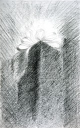 Gift Package With Bow 16X10 charcoal & grsphite signed 300