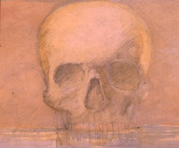 Skull Drawing