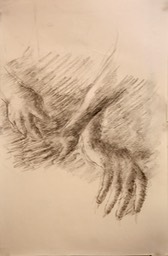 Study of Hands 17x10.8750 charcoal